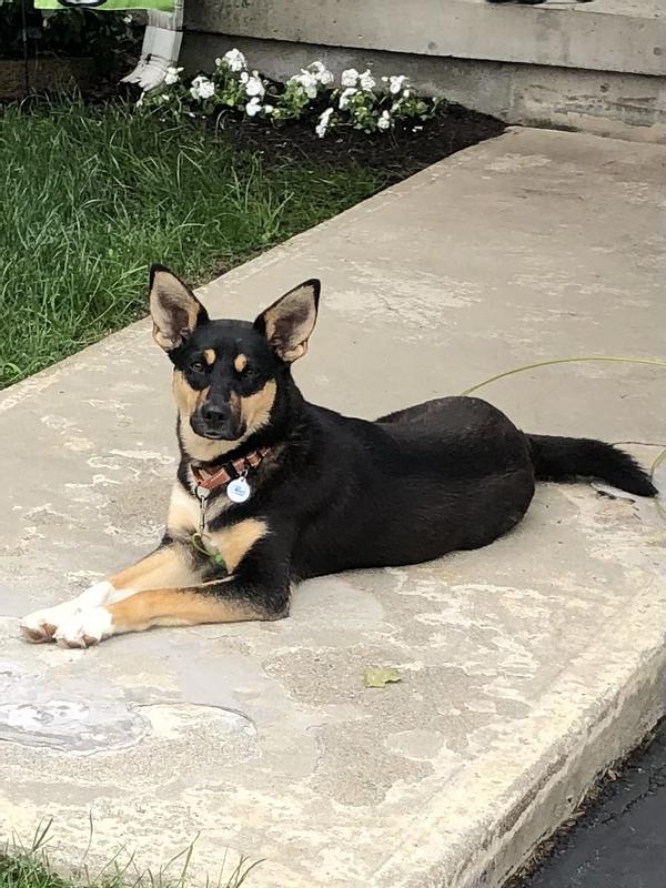 Santa brought me a toy!