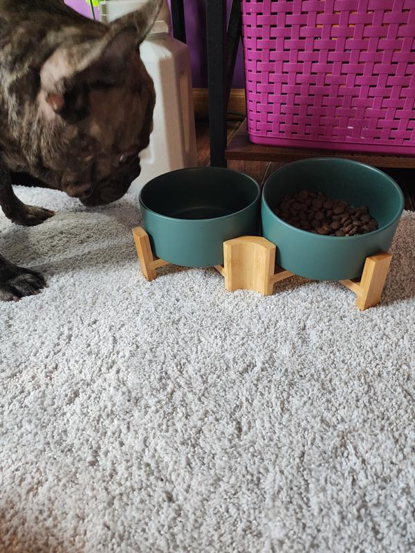 Henry checking them out