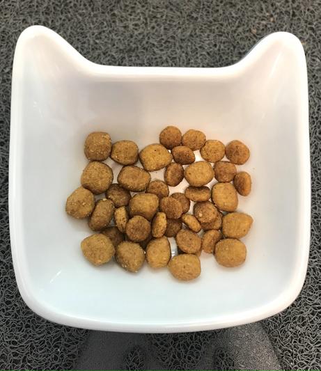 Td dental cat food sale