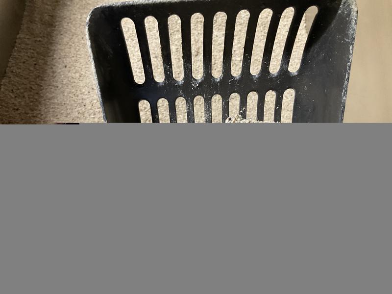 Tighter clumps that previous clay litter