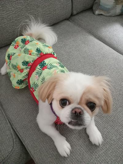 Just Me Ahhh ! Sooo Cute!!!