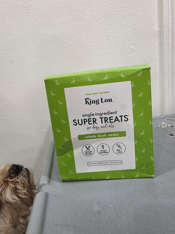 Teddy smells something delicious