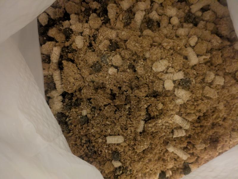 Pellets after a week