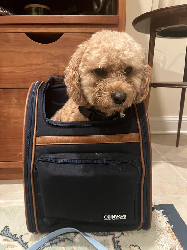 Pup’s head needs to stick out :(