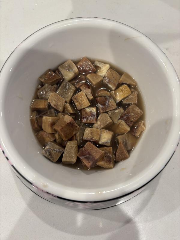 Treats soaking in some water