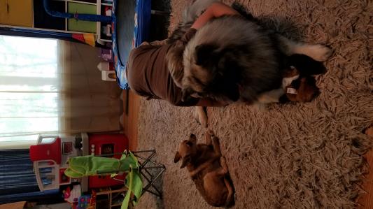 Lots of puppylove
