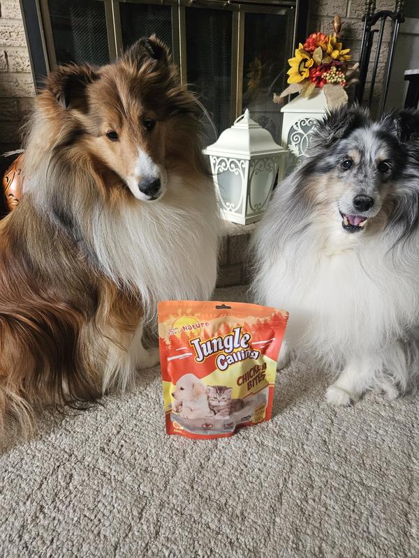 Sully & Gibbs waiting to try new treat!