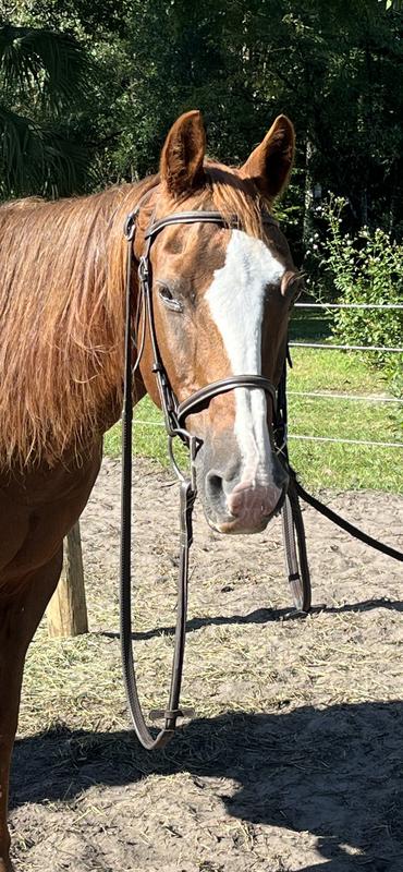 Can you believe he is 18? Look how shiny he is!