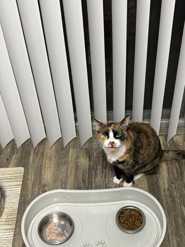 Molly tasted it as didn’t like it at all