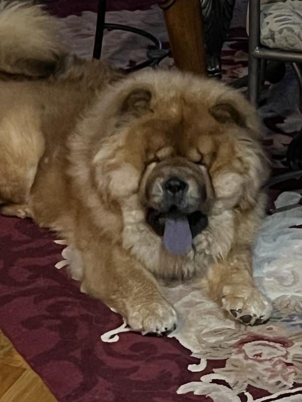 Just call me Mr.Miyagi