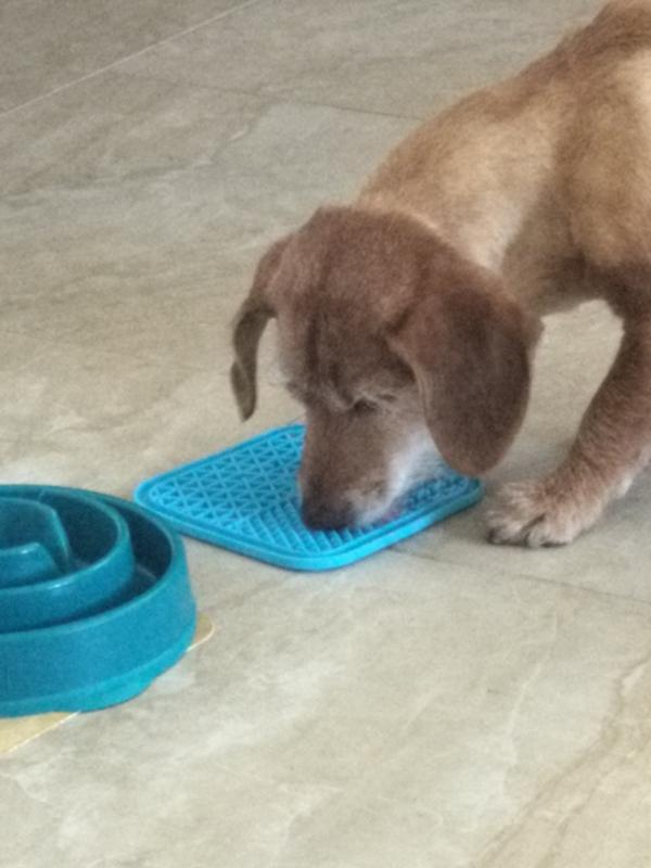 KONG Stuff'N Easy Treat Pepperoni Recipe