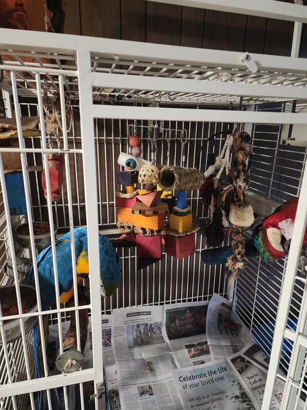 Tiki and Meiko  say thank you!