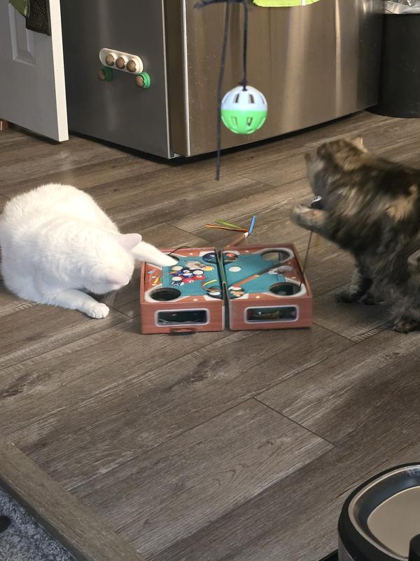 KONG Playground Pool Table Game & Puzzle Cat Toy with Catnip ...