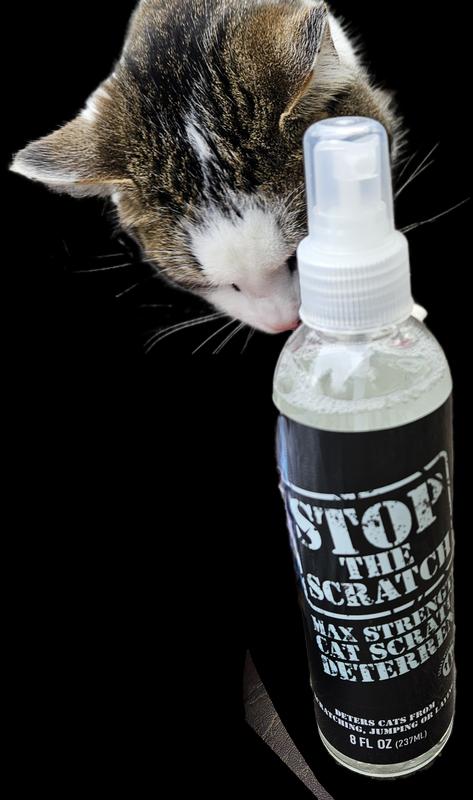 thumbnail image 2 of Emmy's Best Stop The Scratch Cat Deterrent Spray For Kittens And Cats Non Toxic Safe For Plants Furniture Floors And More With Rosemary Oil And Lemongrass 2 of 10