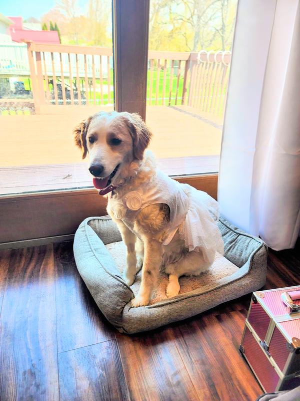 Yeah, I know I look good!