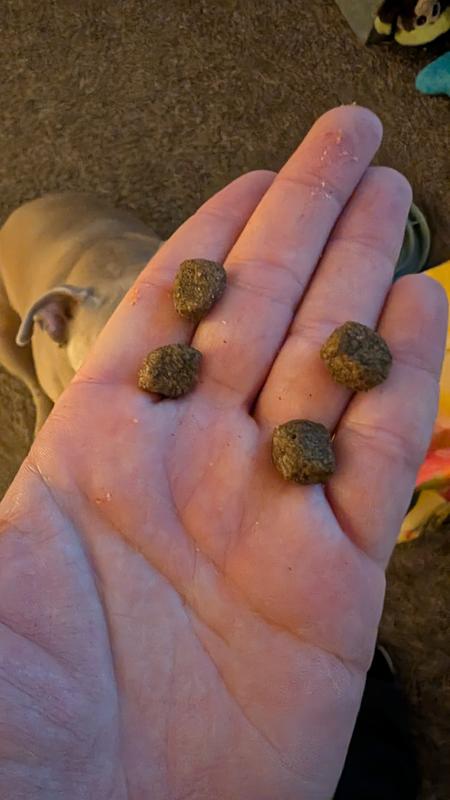 On the left is old on the right is new