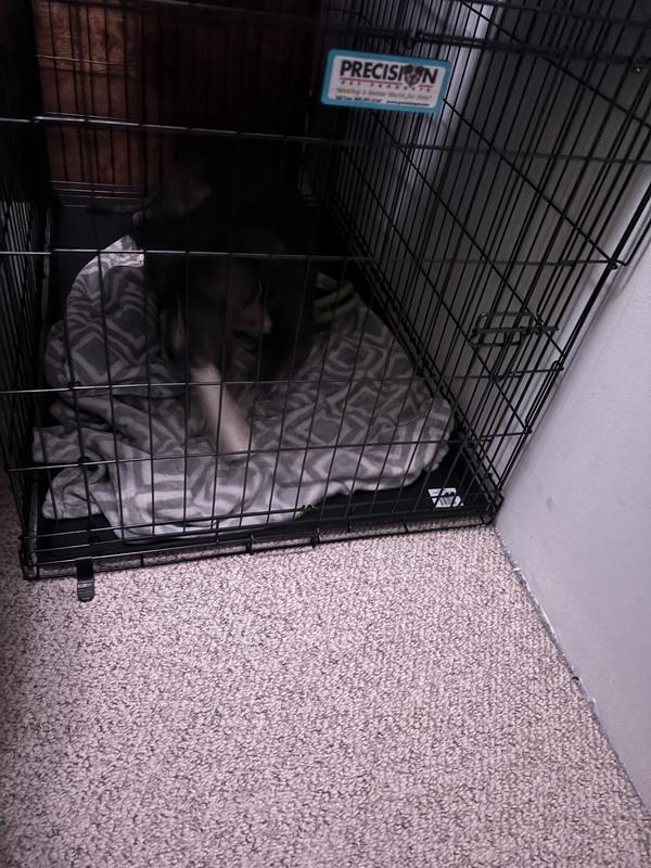 he just loves his bones