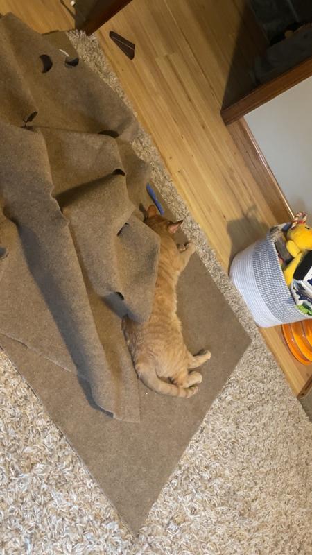 SNUGGLYCAT Ripple Rug Cat Activity Play Mat, Oatmeal White - Chewy.com