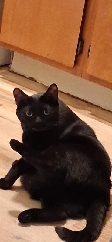 This is my baby Simba