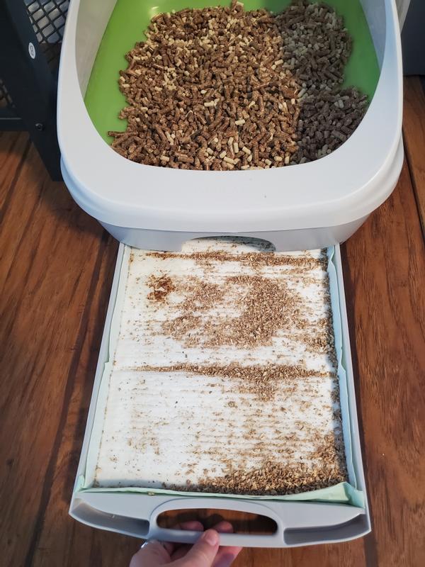 Tidy Cats 247 Performance NonClumping Clay Review (We, 53 OFF