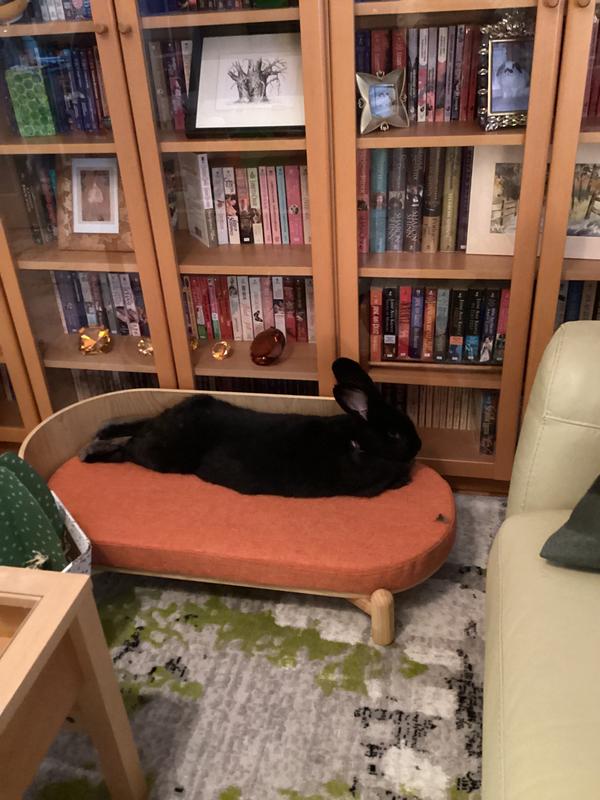 It’s large enough for Nori,  my Flemish Giant girl.