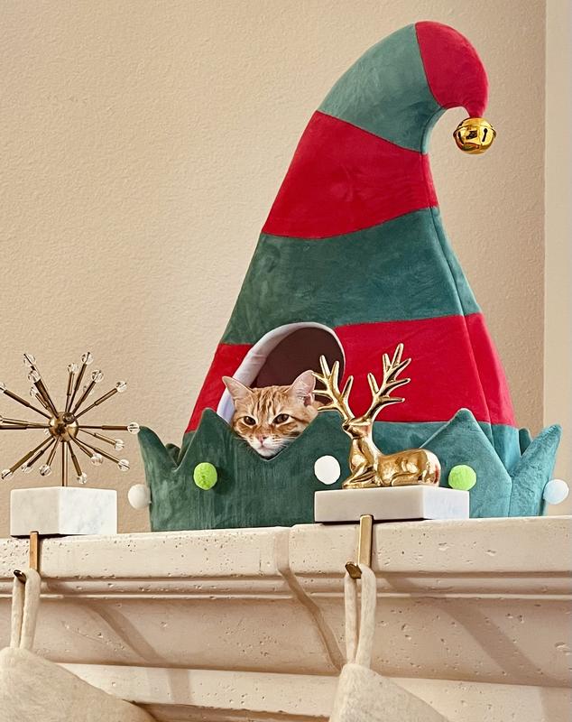 Diana Margaret chillin in her Christmas cave!