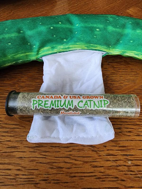 Teaching my cats how to roll a joint