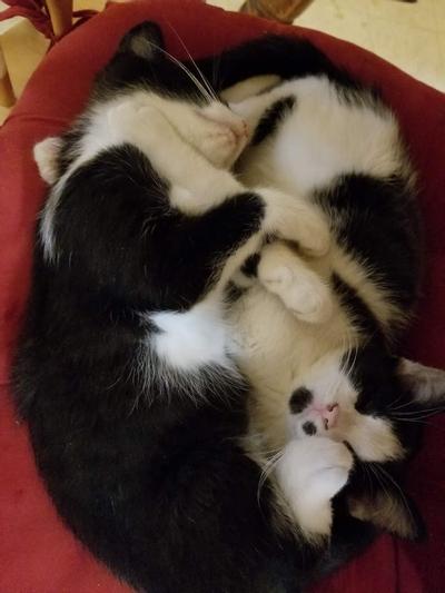 Poncho and Lefty when we were little