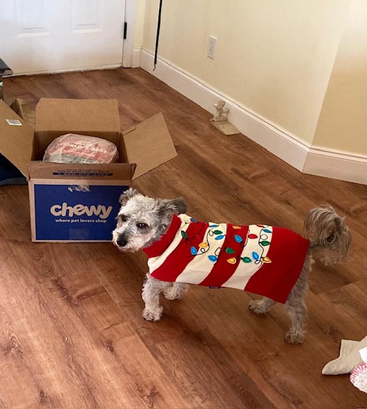 Chewy best sale christmas sweater