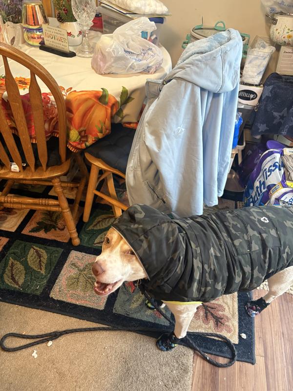 Bundled and warm!! Don’t have to have the hood up either!!