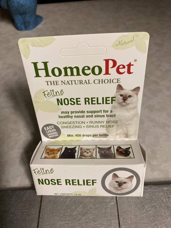 Runny Nose Meds For Cats With Colds Nova Cough Cold Remedy For