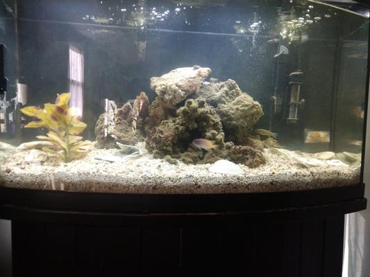 It's coming along...