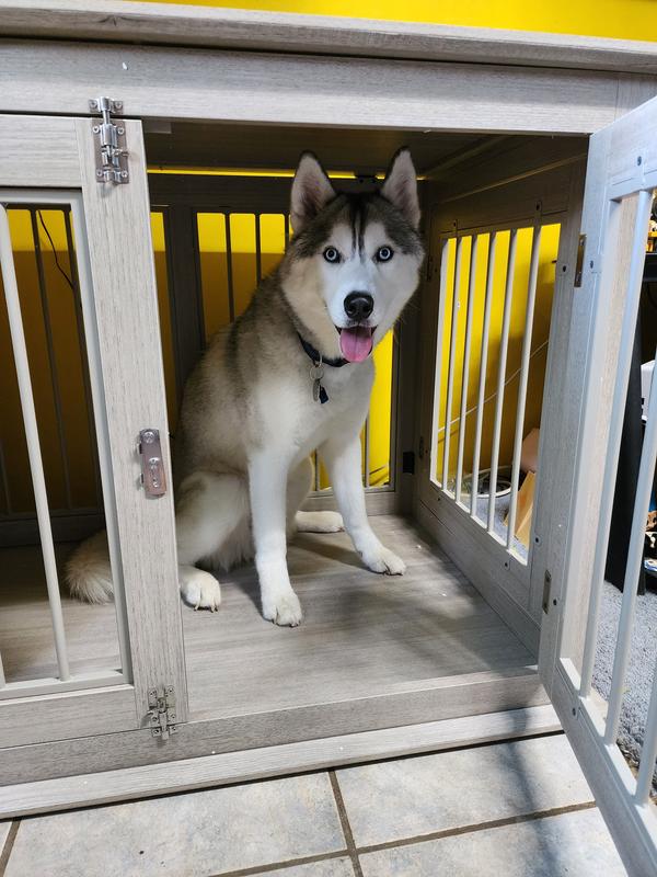 FRISCO Double Door Wood & Metal Furniture Style Dog Crate, Espresso, Medium, 1 count