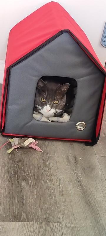 Callisto, Modern Cat Carrier