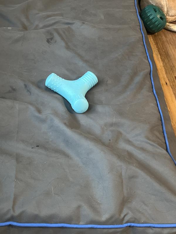 Abandoned the chew after a few minutes