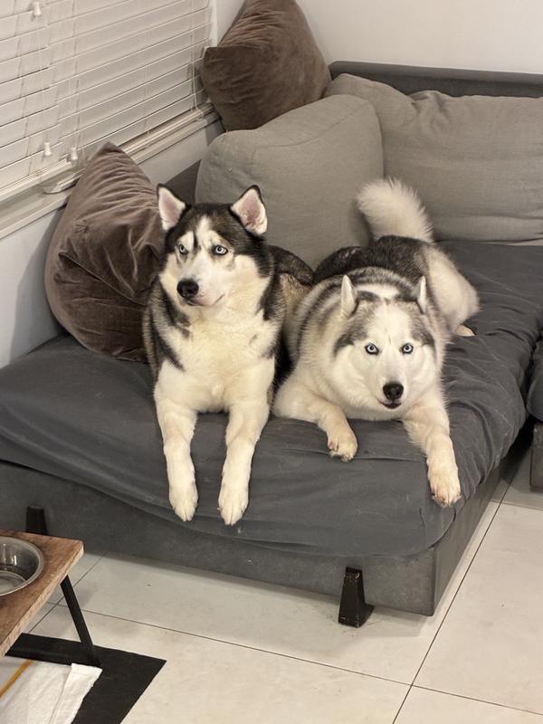 I’m happy for both