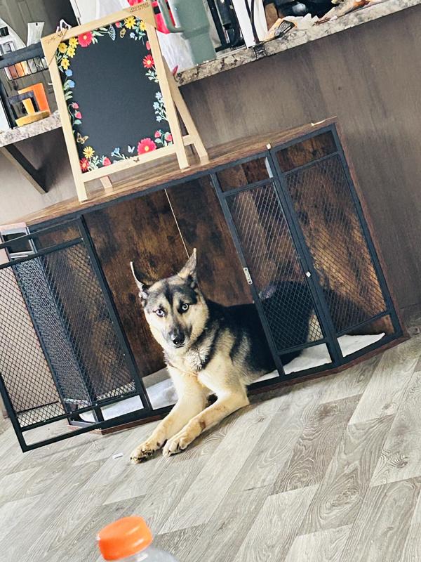 Winter’s new bedroom!