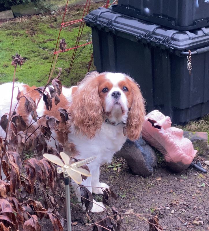 Andrew enjoying his time outside