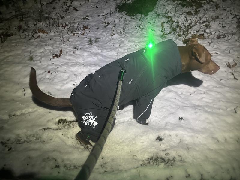 Girl was so busy playing that this was the only pic I could capture haha, but it demonstrates how easy it is to potty while wearing!