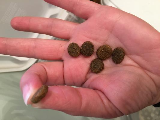 Size and shapes of food