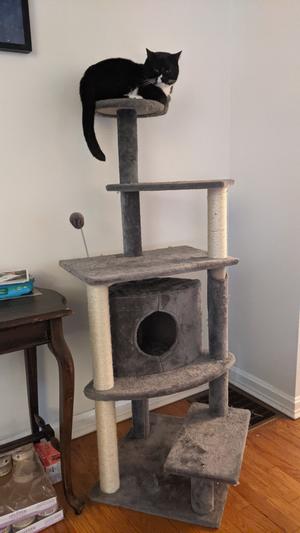 TIGER TOUGH Platform House Playground 59.8-in Faux Fur Cat Tree & Condo ...