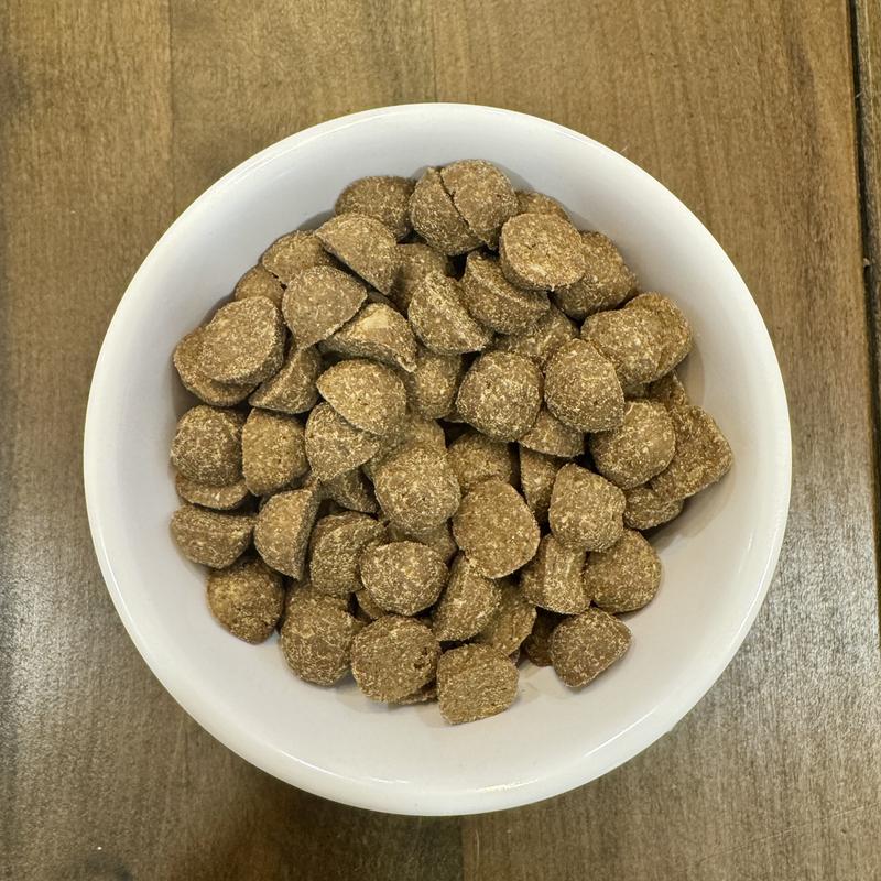 Close-up view of the kibble.