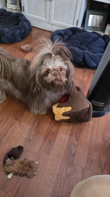 Playing with our new toy