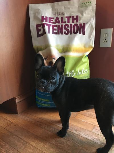 Health extension best sale little bites petsmart