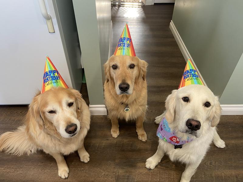 Timbers birthday party