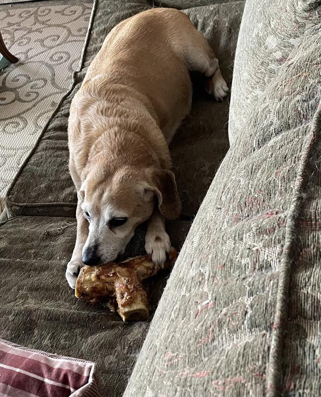 BONES & CHEWS Made in USA Beef Hock Bone Dog Treat, 2 count