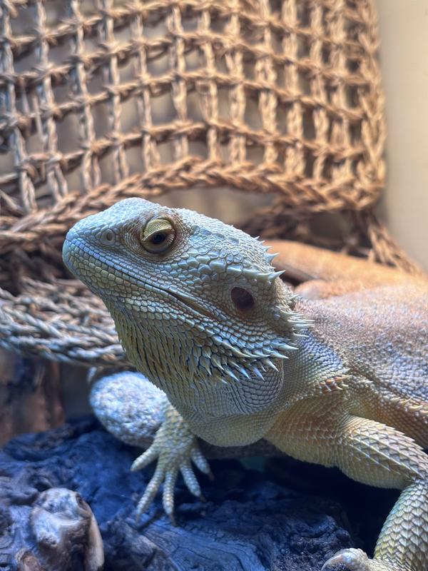 The side eye.