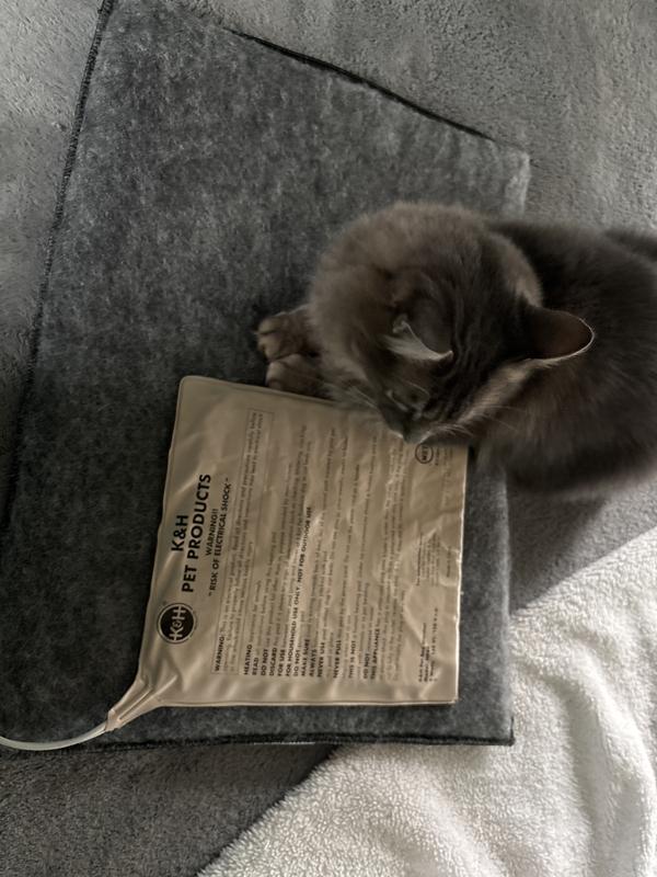 Very tiny compared to size of bed