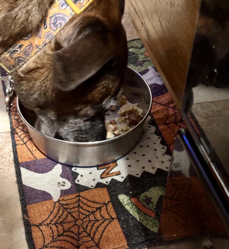 Hard to keep her still for a picture