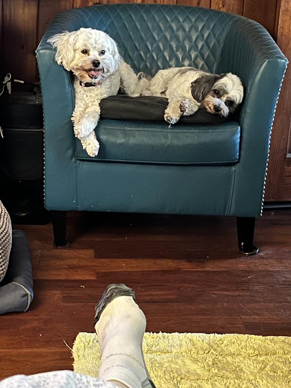 Deserved break from treat eating.